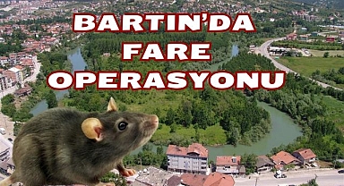 Bartın'da Fare Operasyonu