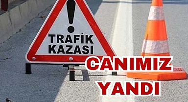CANIMIZ YANDI