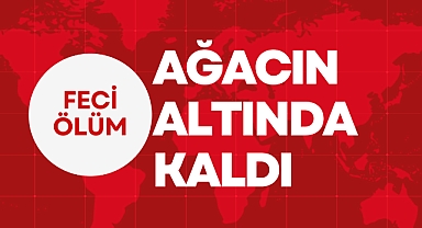 Feci Şekilde Can Verdi