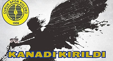 Kanadı Kırıldı