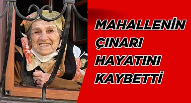 MAHALLENİN ÇINARI HAYATINI KAYBETTİ