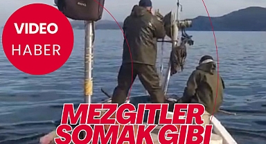 Mezgitler Somak Gibi
