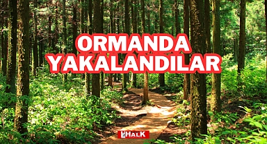 Ormanda Yakalandılar