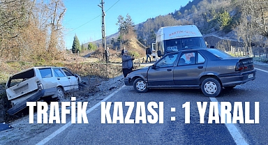 TRAFİK KAZASI 1 YARALI