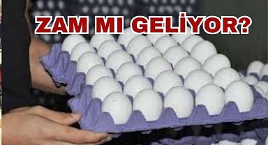 Zam Mı Geliyor?