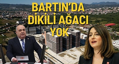 Bartın'da Dikili Ağacı Yok