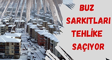 BUZ SARKITLARI TEHLİKE SAÇIYOR