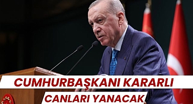 Cumhurbaşkanı Kararlı, Canları Yanacak