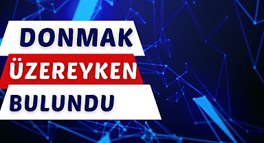 DONMAK ÜZEREYKEN BULUNDU
