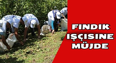 Fındık İşçisine Müjde