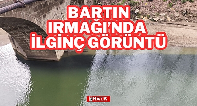 Irmakta İlginç Görüntü
