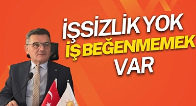 İşsizlik Yok İş Beğenmemek Var