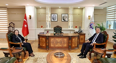 Karabük’te Valiler Zirvesi