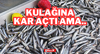 Kulağına Kar Kaçtı Ama..