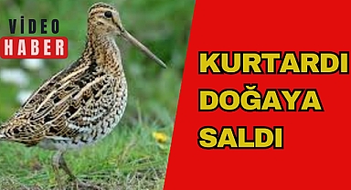 KURTARDI DOĞAYA SALDI
