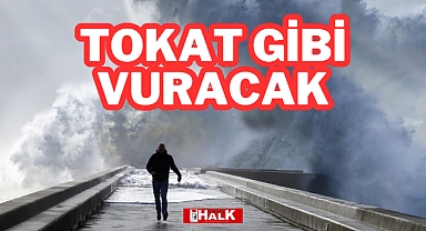 Tokat Gibi Vuracak