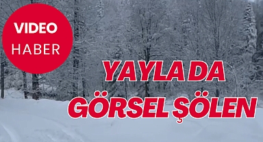 YAYLADA GÖRSEL ŞÖLEN
