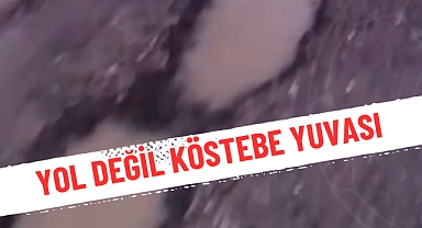 YOL DEĞİL KÖSTEBEK YUVASI