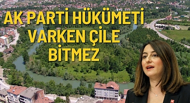 AK PARTİ HÜKÜMETİ VARKEN ÇİLE BİTMEZ