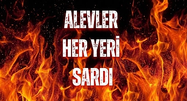 ALEVLERİ HER YERİ SARDI