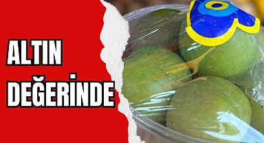 ALTIN DEĞERİNDE