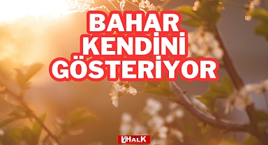Bahar Kendini Gösteriyor