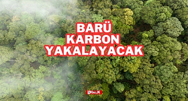 BARÜ