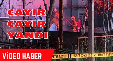 CAYIR CAYIR YANDI