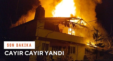 CAYIR CAYIR YANDI