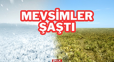 Geçen Hafta Tişört, Bu Hafta Kar Yağışı