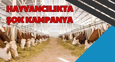 HAYVANCILIKTA ŞOK KAMPANYA