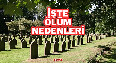 İşte Ölüm Nedenleri