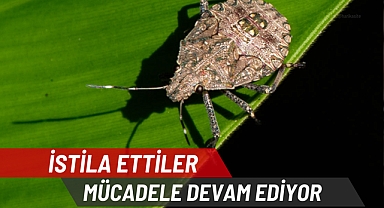 İSTİLA ETTİLER