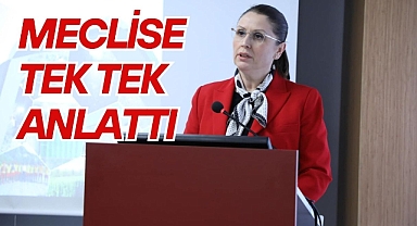 MECLİSE TEK TEK ANLATTI