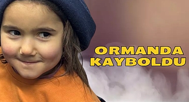 ORMANDA KAYBOLDU