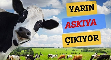 YARIN ASKIYA ÇIKIYOR
