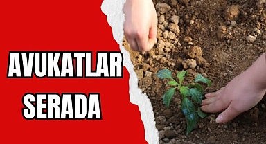AVUKATLAR SERADA
