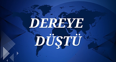 DEREYE DÜŞTÜ