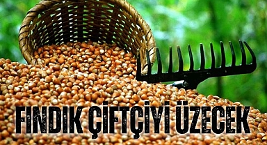FINDIK ÇİFTÇİYİ ÜZECEK
