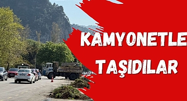 KAMYONETLE TAŞIDILAR