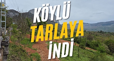KÖYLÜ TARLAYA İNDİ