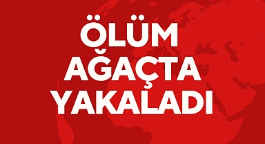 Ölüm Ağaçta Yakaladı
