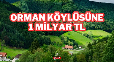 Orman Köylüsüne 1 Milyar TL