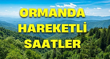 ORMANDA HAREKETLİ SAATLER