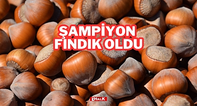 Şampiyon Fındık Oldu
