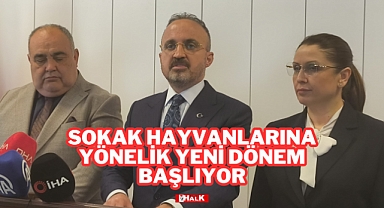 Sokak Hayvanlarına Yönelik Yeni Dönem Başlıyor