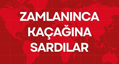 ZAMLANINCA KAÇAĞINA SARDILAR