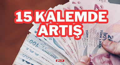 15 Kalemde Artış