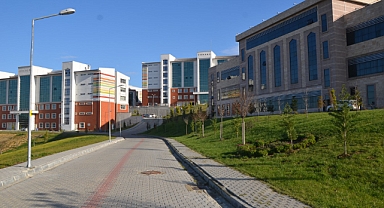 17 Projeye Destek