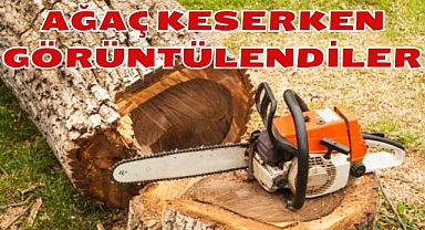 AĞAÇ KESERKEN GÖRÜNTÜLENDİLER
